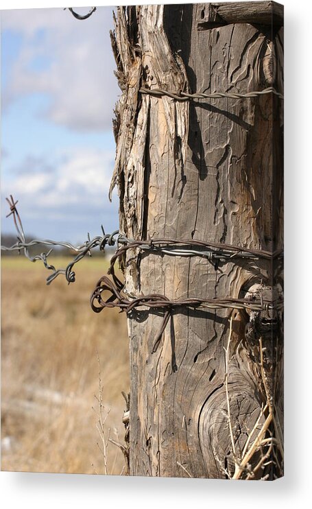 Post Acrylic Print featuring the photograph Oregon Fence Post by Jeff Floyd CA