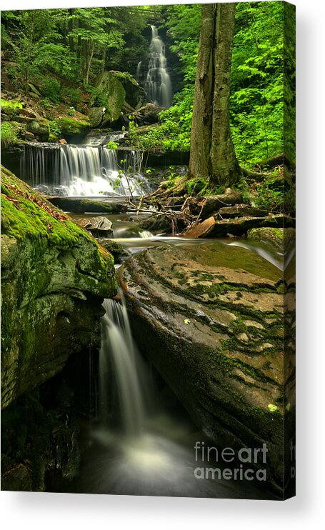 Ozone Falls Acrylic Print featuring the photograph Ozone Falls Through The Forest by Adam Jewell