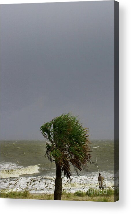 Nature Acrylic Print featuring the photograph Palmetto Persistence by Skip Willits