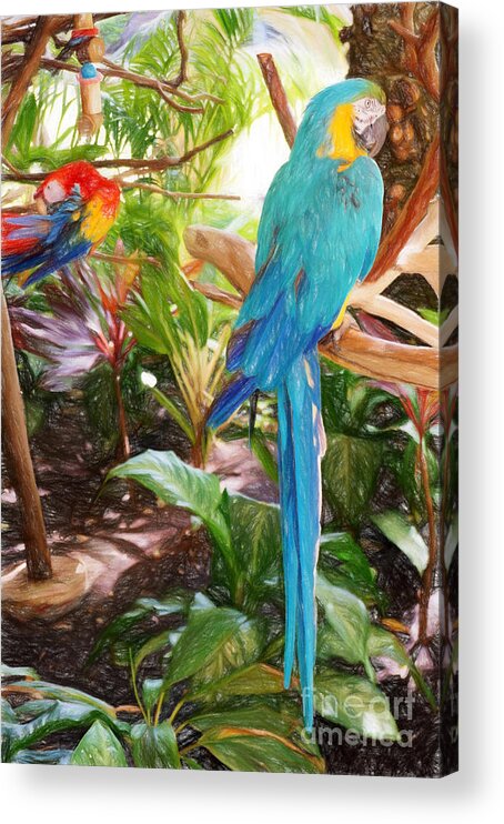 Hawaii Acrylic Print featuring the photograph Parrots in Paradise by Sue Melvin