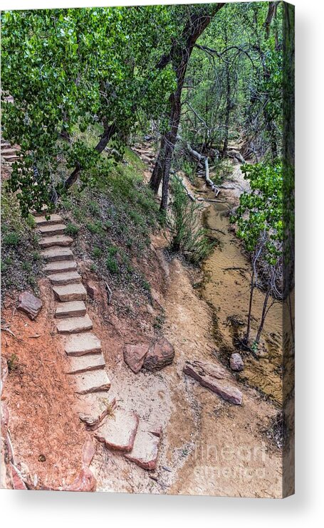 Utah Acrylic Print featuring the photograph Path to the River by Peggy Hughes