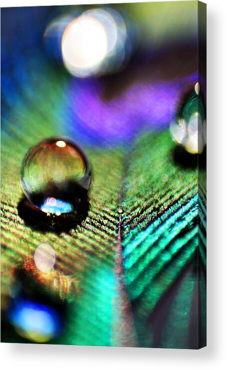 Water Acrylic Print featuring the photograph Peacock Jewel by Kerry Langel