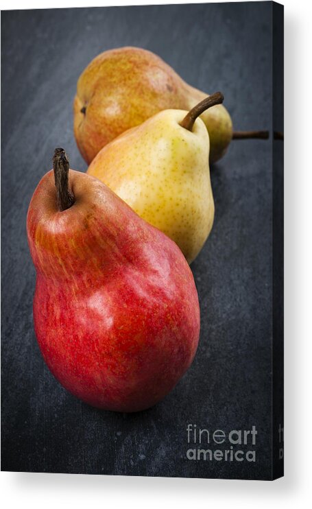 Pears Acrylic Print featuring the photograph Pears still life by Elena Elisseeva