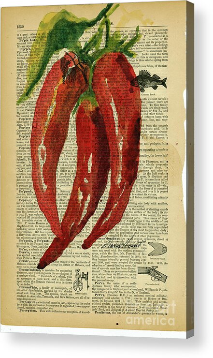 Red Peppers Acrylic Print featuring the painting Peppers from the Garden by Maria Hunt