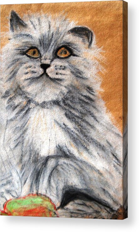 White And Grey Persian Cat Acrylic Print featuring the mixed media Persian Cat by Angela Murray