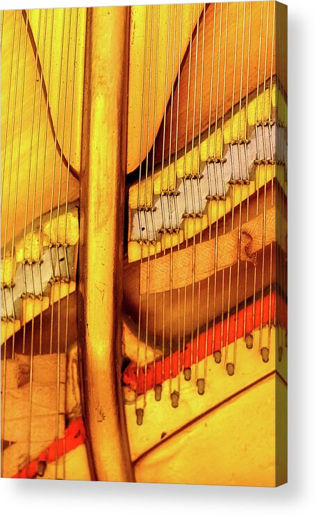 Harp Acrylic Print featuring the photograph Piano 1 by Rebecca Cozart