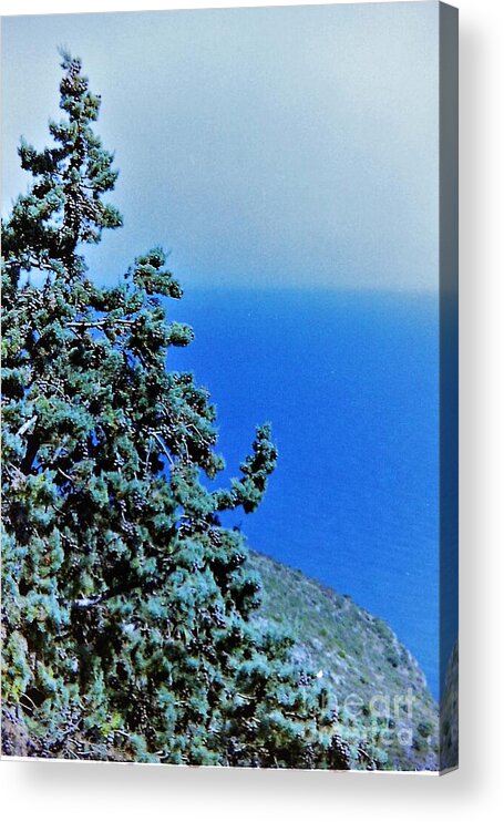 Landscape Acrylic Print featuring the photograph Pine D'Azur by Jarek Filipowicz
