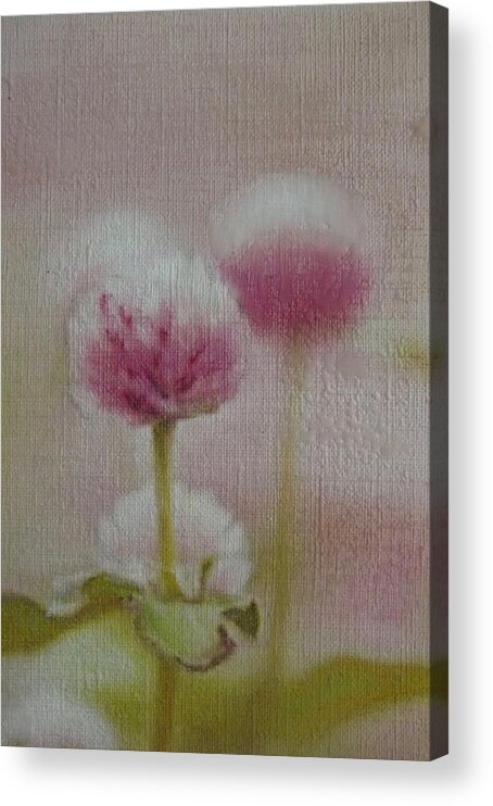 Pink Acrylic Print featuring the painting Pink Mist by Cara Frafjord