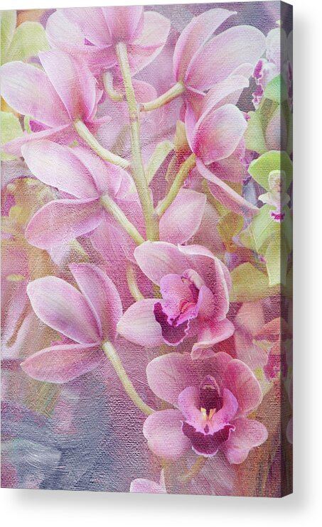 Beautiful Acrylic Print featuring the photograph Pink Orchids by Ann Bridges