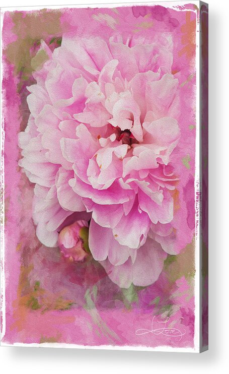 Peony Acrylic Print featuring the photograph Pink Peony 2 by Jill Love