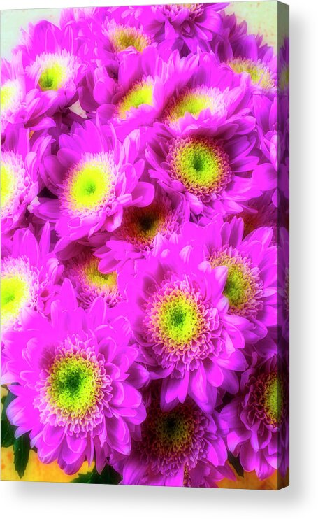 Beautiful Acrylic Print featuring the photograph Pink Poms Bouquet by Garry Gay