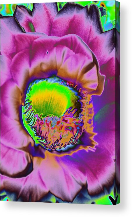 Cirrus Acrylic Print featuring the photograph Pink Psychedelic Cirrus by Richard Henne