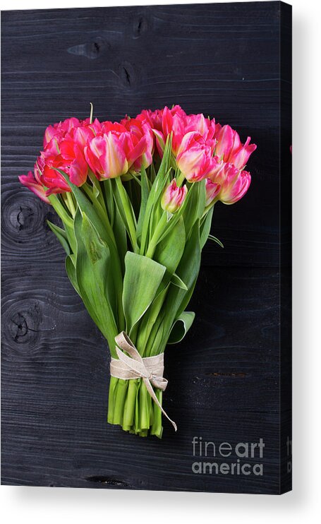 Tulip Acrylic Print featuring the photograph Pink Tulips on Black by Anastasy Yarmolovich
