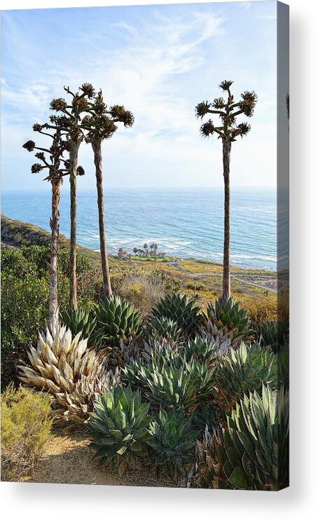 Point Loma Lighthouse Acrylic Print featuring the photograph Point Loma Lighthouse Overlook by Glenn McCarthy Art and Photography