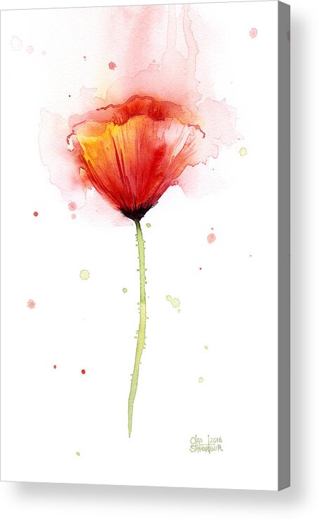 Watercolor Acrylic Print featuring the painting Poppy Watercolor Red Abstract Flower by Olga Shvartsur