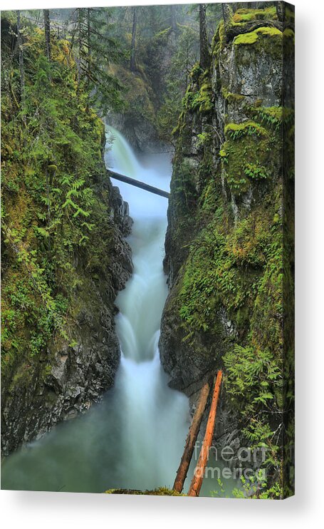 Qualicum Acrylic Print featuring the photograph Port Alberni Rainforest Waterfall by Adam Jewell