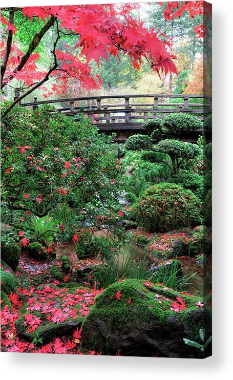 Garden Acrylic Print featuring the photograph Portland Garden by Raf Winterpacht