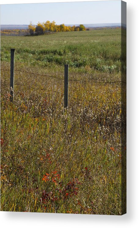 Lanscape Acrylic Print featuring the photograph Prairie Autumn by Ellery Russell