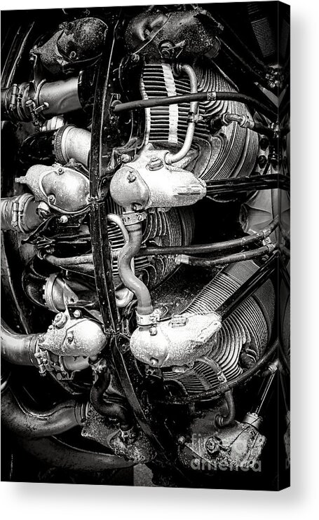 Plane Acrylic Print featuring the photograph Pratt and Whitney Twin Wasp by Olivier Le Queinec