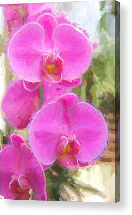 Orchid Acrylic Print featuring the photograph Pretty In Pink by Kathy Bassett