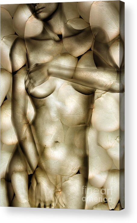 Woman Acrylic Print featuring the photograph Protected by Jacky Gerritsen