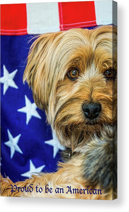 Adorable Acrylic Print featuring the photograph Proud to be an American by Maria Coulson