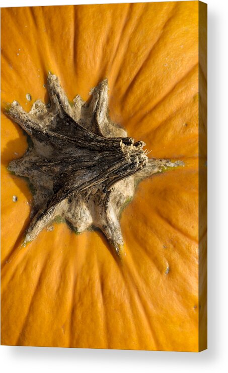 Pumpkin Point Acrylic Print featuring the photograph Pumpkin Point by Christi Kraft