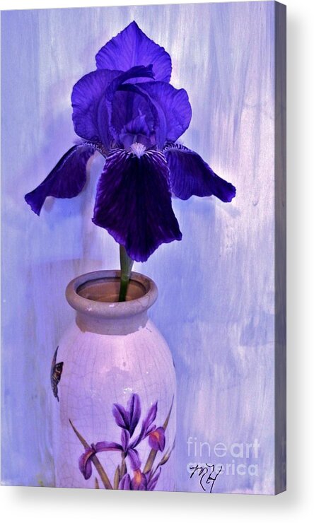 Photo Acrylic Print featuring the photograph Purple Velvet Iris by Marsha Heiken