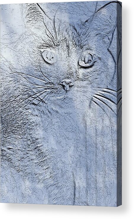 Cat Acrylic Print featuring the digital art Queen of the Sky by Cheryl Charette