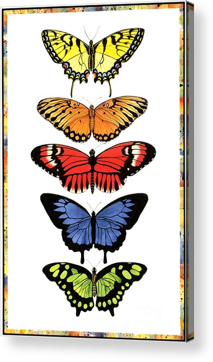 Butterflies Acrylic Print featuring the painting Rainbow Butterflies by Lucy Arnold