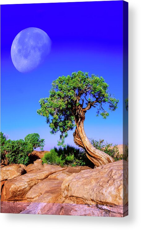 Moon Acrylic Print featuring the photograph Reaching for the Moon by Mike Stephens