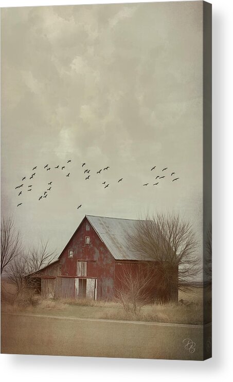 Nebraska Acrylic Print featuring the photograph Red Barn and Cranes by Debra Boucher