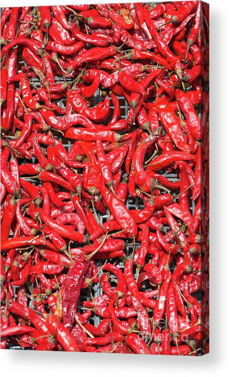 Chilli Acrylic Print featuring the photograph Red Chillies on sale by Andrew Michael