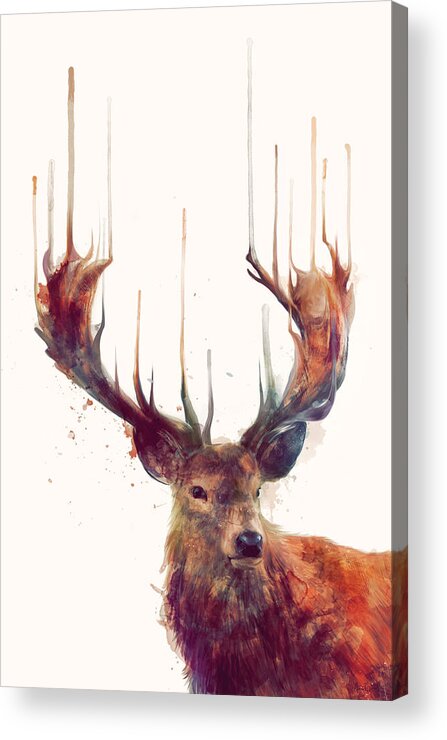 Red Deer Acrylic Print featuring the painting Red Deer by Amy Hamilton