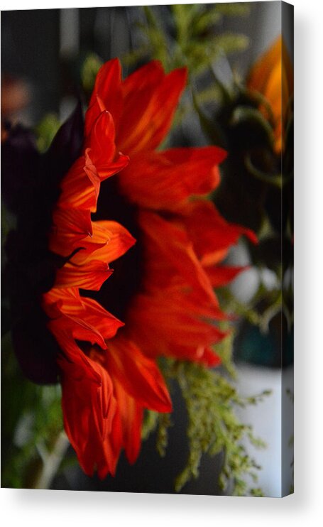 Red Acrylic Print featuring the photograph Red Flower by Whispering Peaks Photography