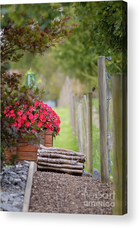 Country Acrylic Print featuring the photograph Red flowerd with Fende and wood billet bundle by Amanda Mohler