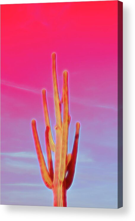 Saguaro Acrylic Print featuring the photograph Red Glow Saguaro Cactus by Aimee L Maher ALM GALLERY