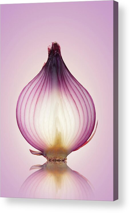 Red Acrylic Print featuring the photograph Red Onion Translucent layers by Johan Swanepoel