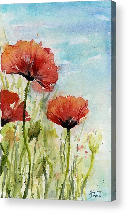 Red Poppy Acrylic Print featuring the painting Red Poppies Watercolor by Olga Shvartsur