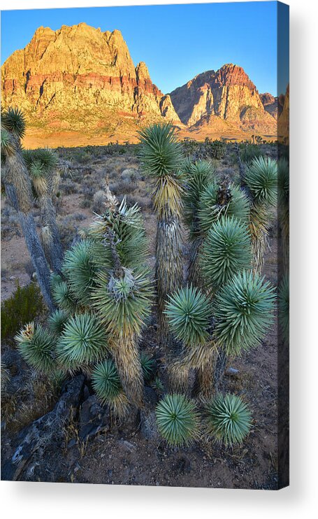 Red Rock Canyon Acrylic Print featuring the photograph Red Rock Canyon by Ray Mathis