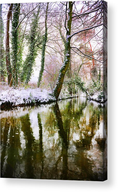 Branch Acrylic Print featuring the photograph Reflected winter by Gouzel -