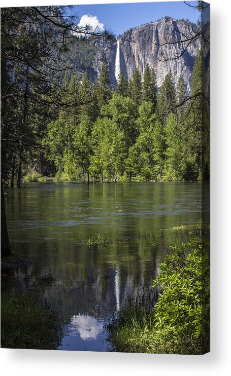 Yosemite Acrylic Print featuring the photograph Reflection at Yosemite by John McGraw