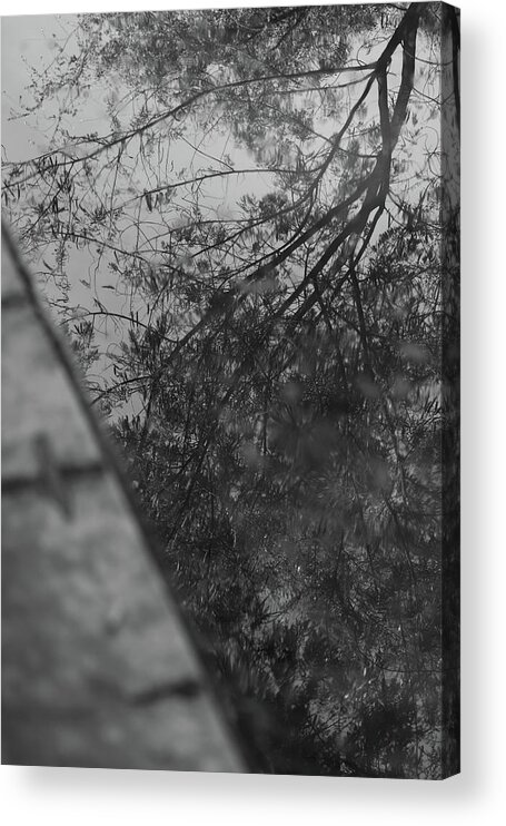 Minimalism Acrylic Print featuring the pyrography Reflection of Tree in Water by Prakash Ghai