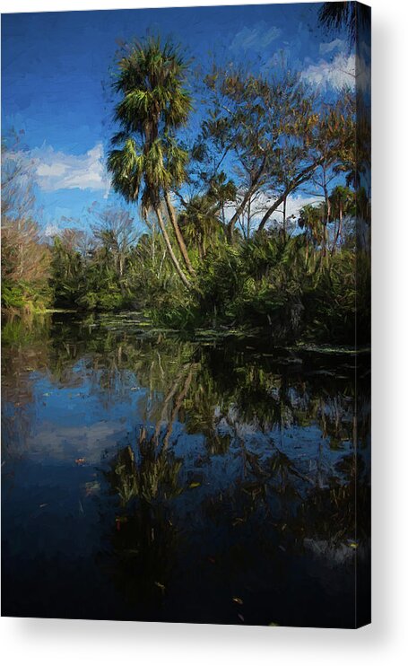 Clouds Acrylic Print featuring the photograph Reflections in the Tropics Oil Painting by Debra and Dave Vanderlaan