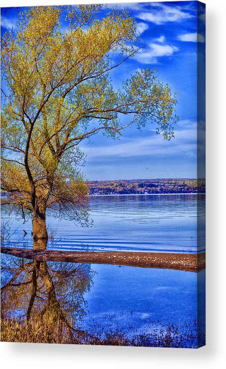 Lake Acrylic Print featuring the photograph Reflections of Spring by Monroe Payne