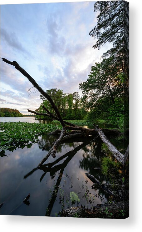 Azalea Garden Road Acrylic Print featuring the photograph Reflections Of The Past by Michael Scott