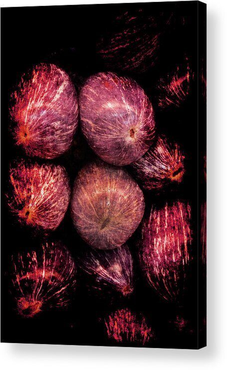 Renaissance Acrylic Print featuring the photograph Renaissance Turkish Eggplant by Jennifer Wright