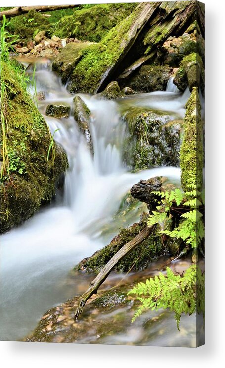 Mossy Acrylic Print featuring the photograph Return To Mossy Glen by Bonfire Photography