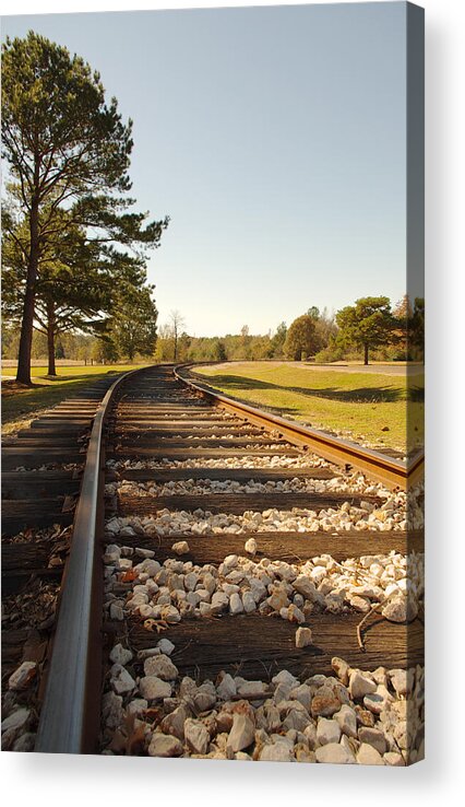Travel Acrylic Print featuring the photograph Riding the Rails by Karen Musick