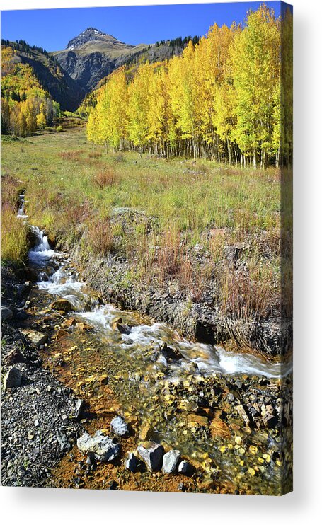 Colorado Acrylic Print featuring the photograph Roadside Creek near Red Mountain Pass by Ray Mathis